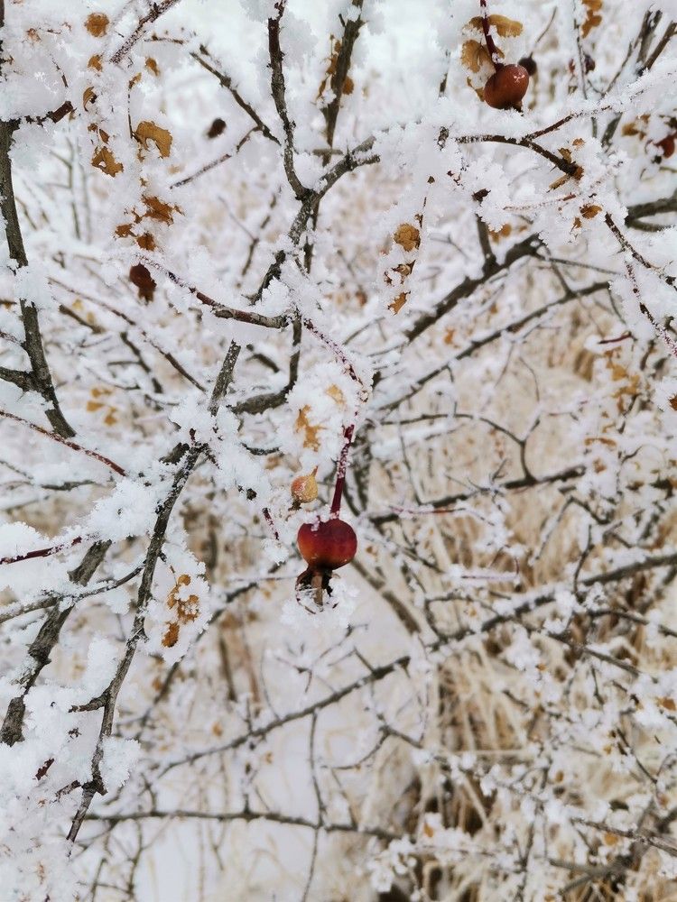 Photograph by Наталья Старостенко