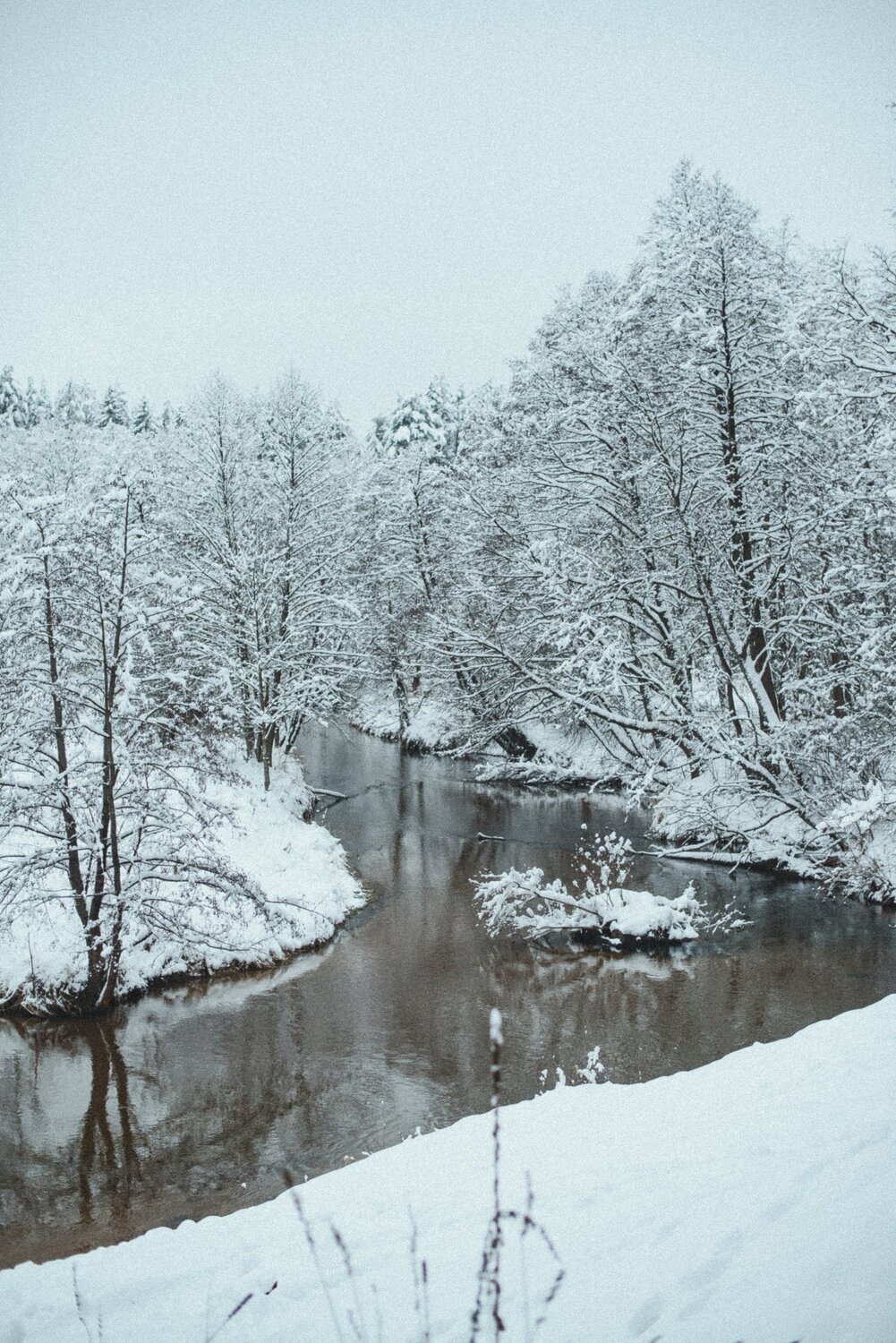 Photo #5586820