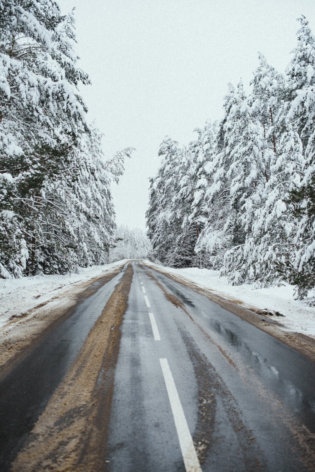 Photo #5586823