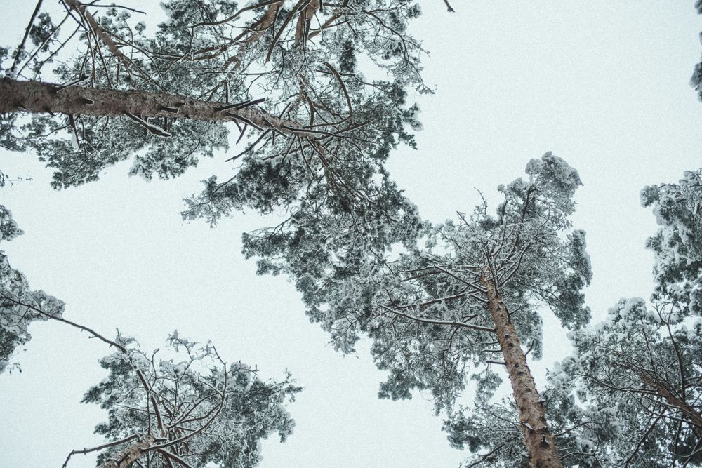 Фотография автора Катерина Самуйло