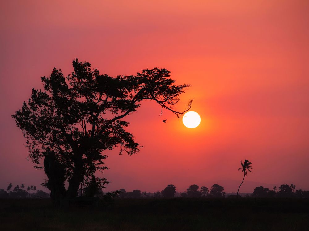 Photograph by Mohamed Aashik Mohamed Caseem