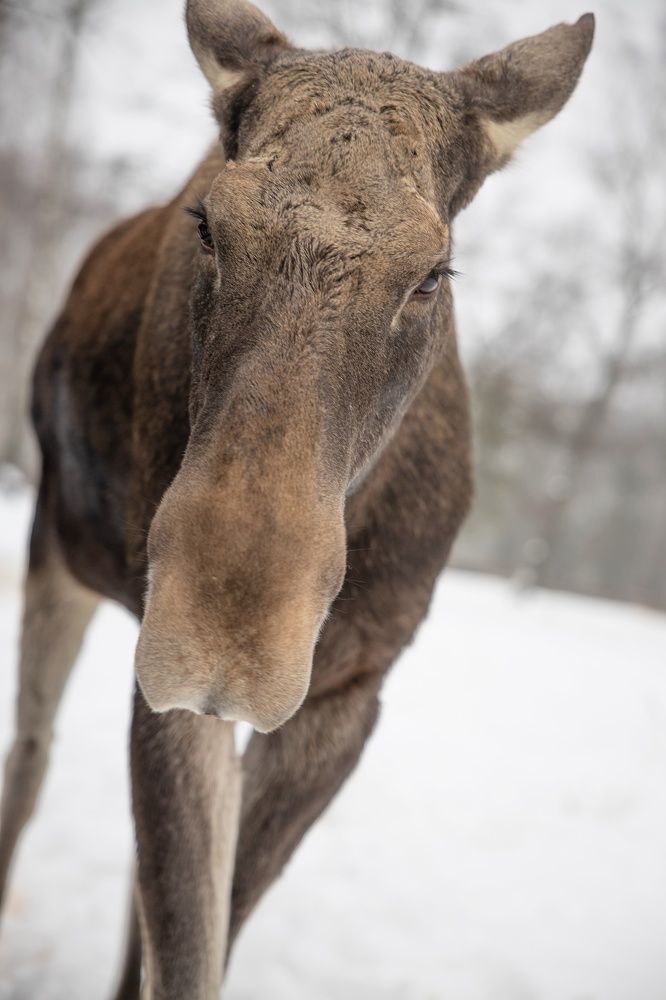 Photograph by Екатерина Кицмен
