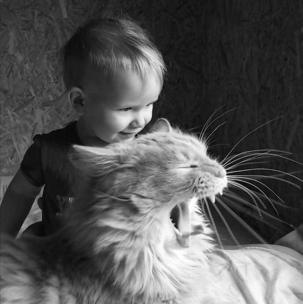 Photograph by Николай Шумилов