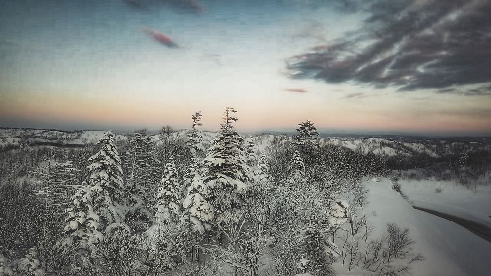 Фотография автора Маргарита Басова