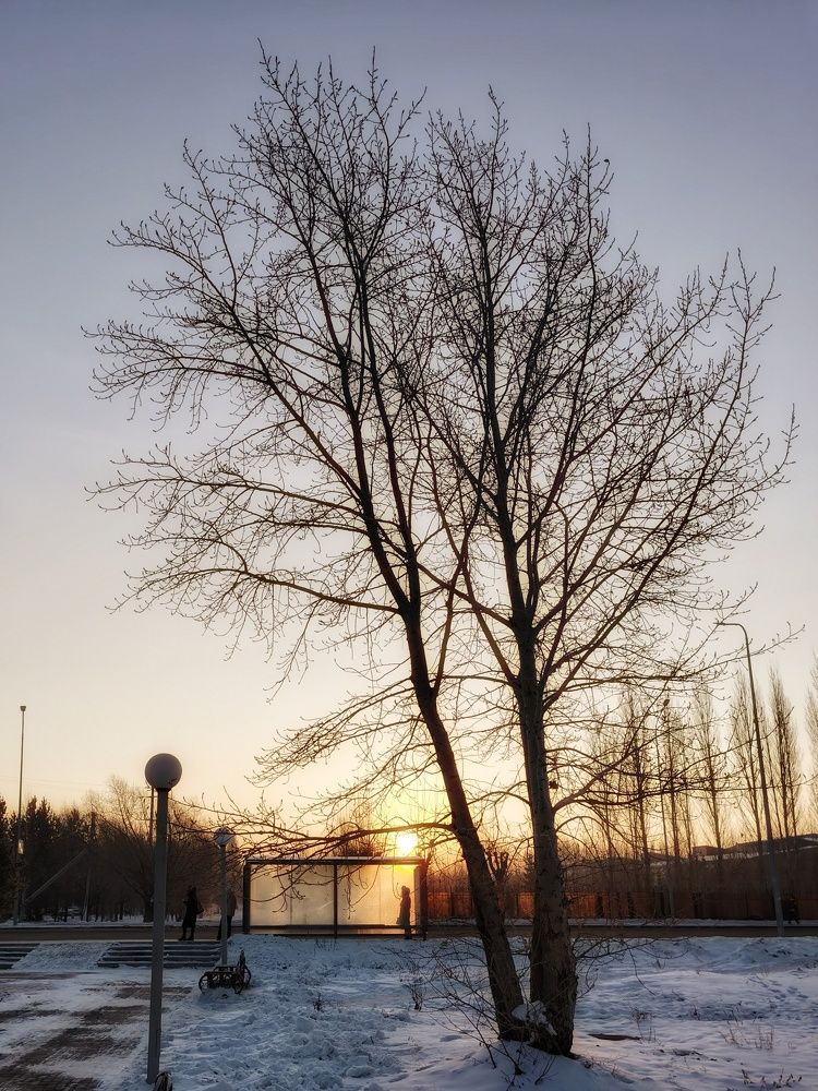 Photograph by Ксения Горленко