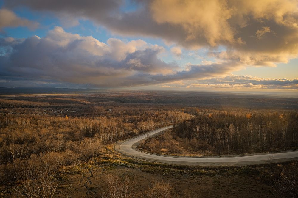 Фотография автора Маргарита Басова