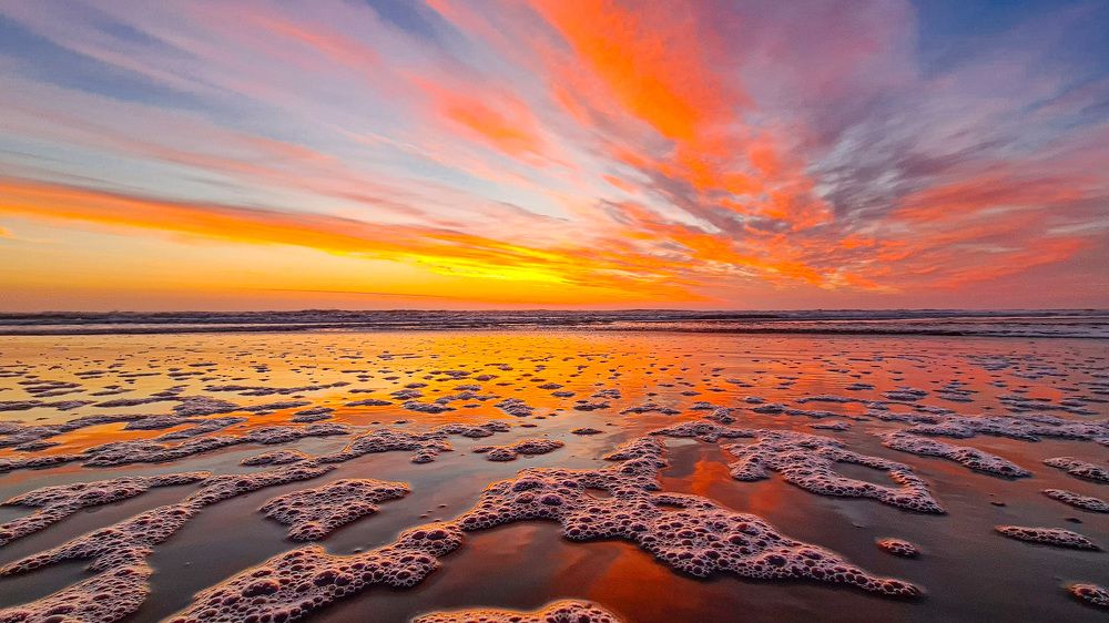 Фотография автора Маргарита Басова