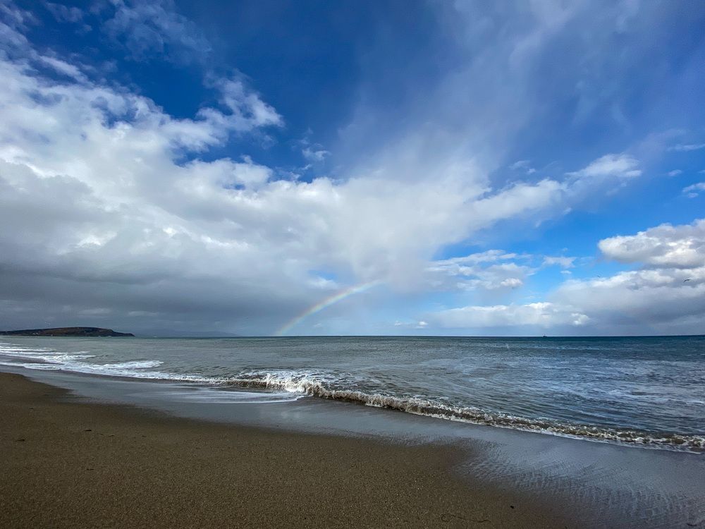 Фотография автора Маргарита Басова