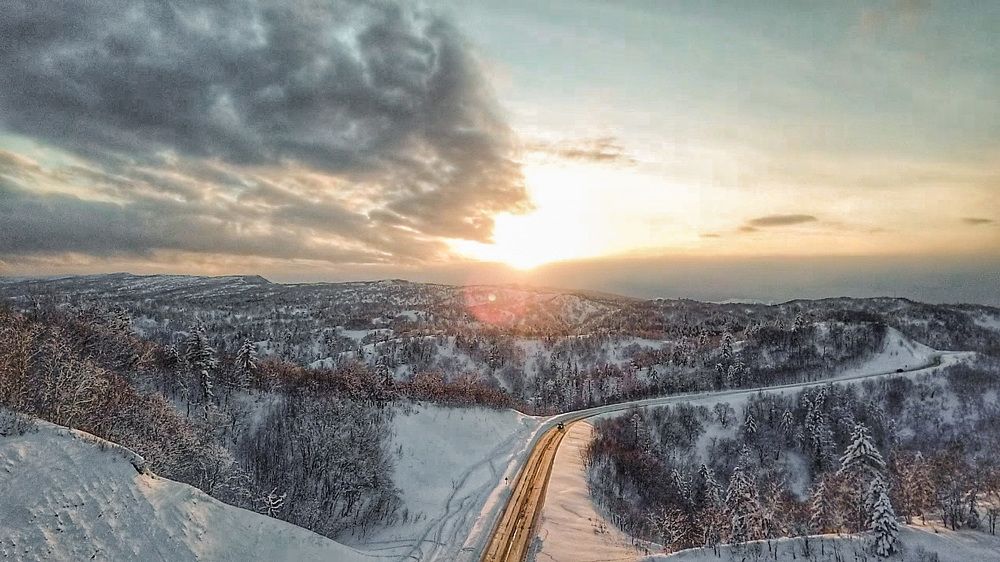Фотография автора Маргарита Басова