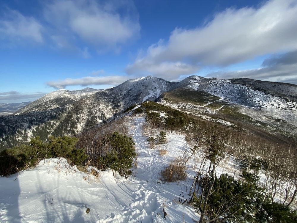 Фотография автора Маргарита Басова