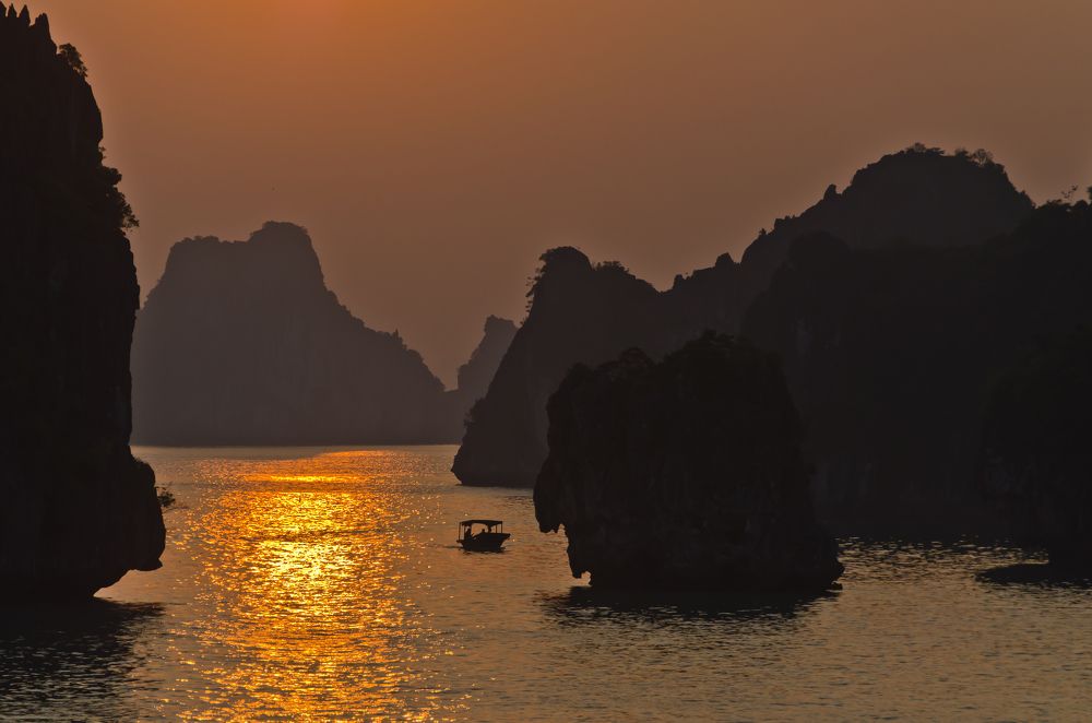Photograph by 