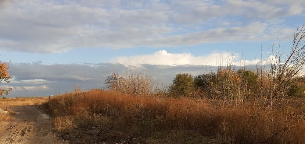 Photograph by Natalya