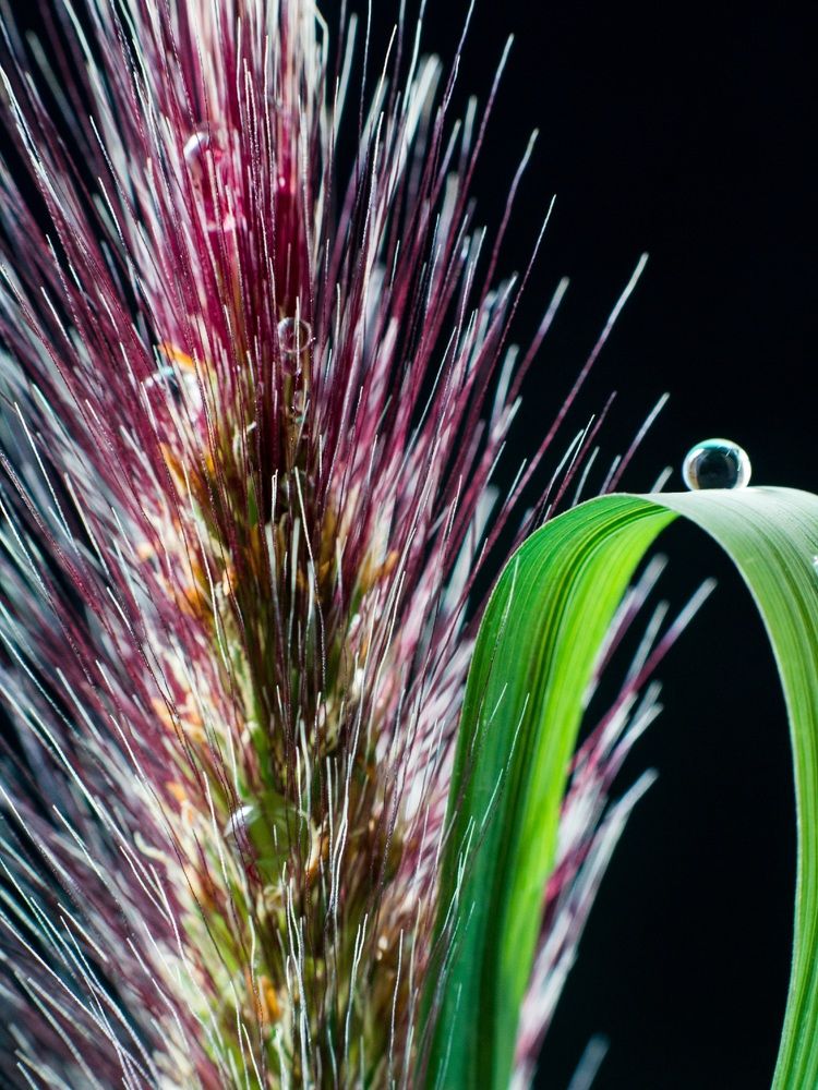 Photograph by Сергей Маркелов