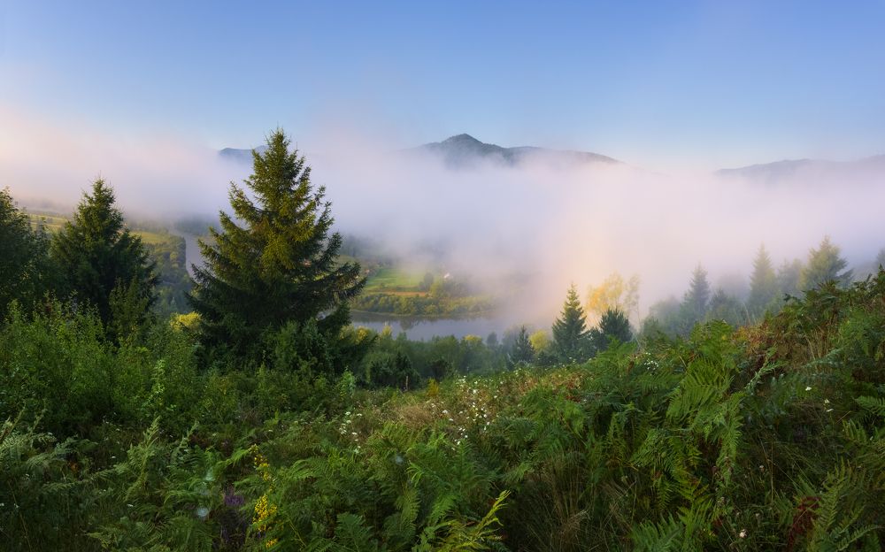 Туманы Прикарпатья