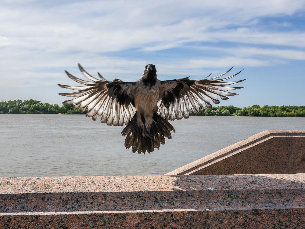 Фотография автора Дмитрий Дадонкин