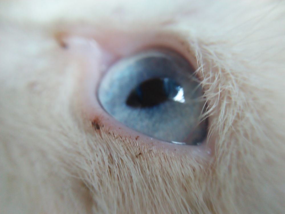 Photograph by SHAHZAD KAZMI