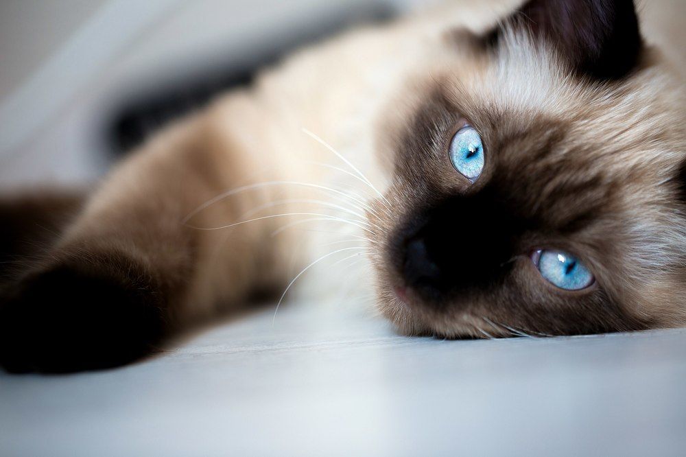 Photograph by Сергей Грачёв