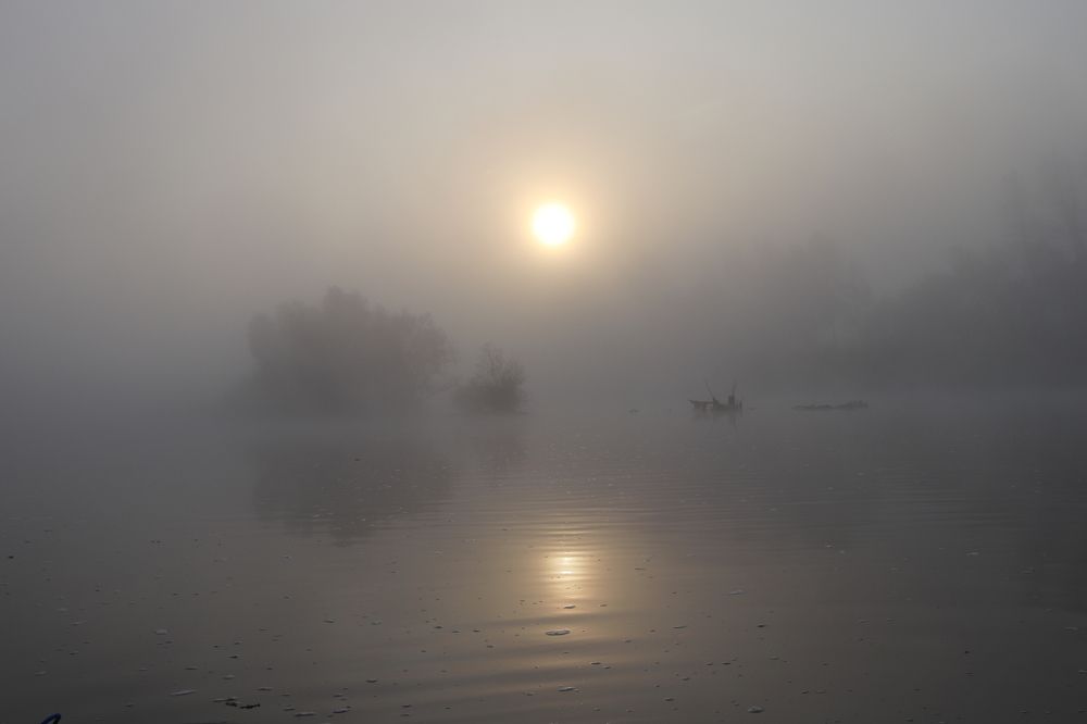 Фотография автора Веста Ягужинская