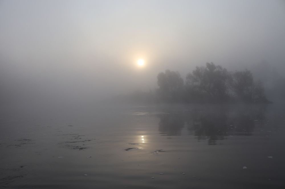 Фотография автора Веста Ягужинская