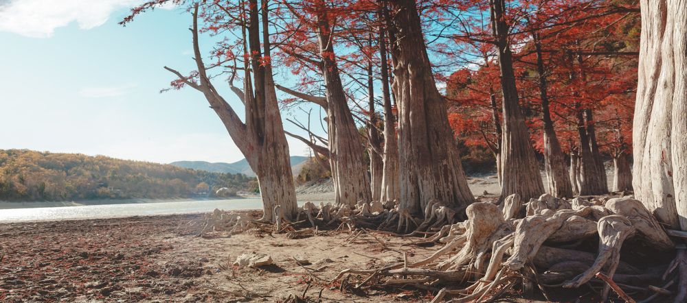 Photograph by Александр Белостоцкий