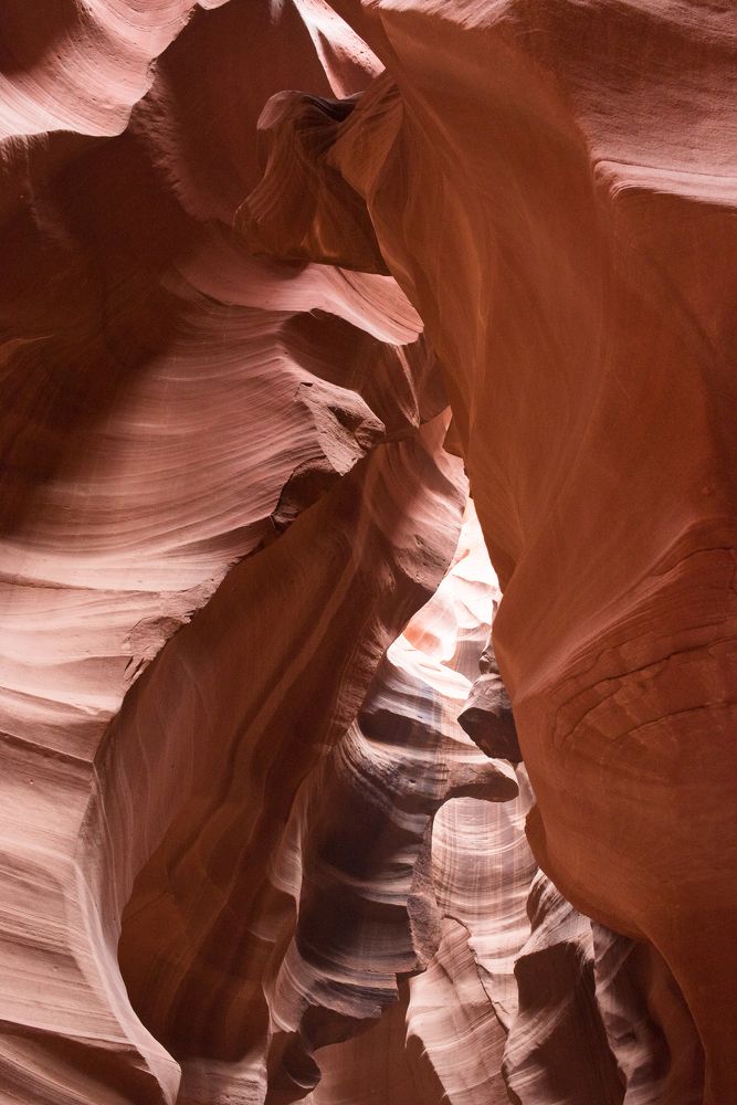 Photograph by Ирина Корнева