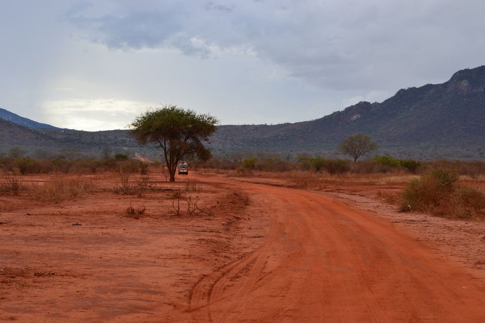 Photograph by Ольга Садохова