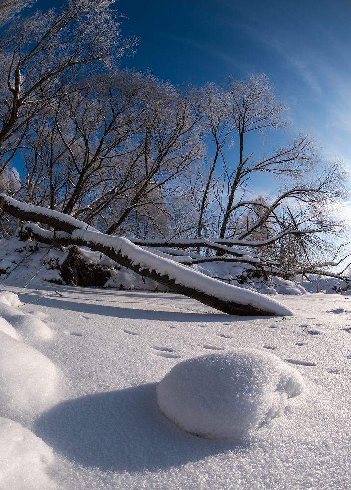 Морозное утро