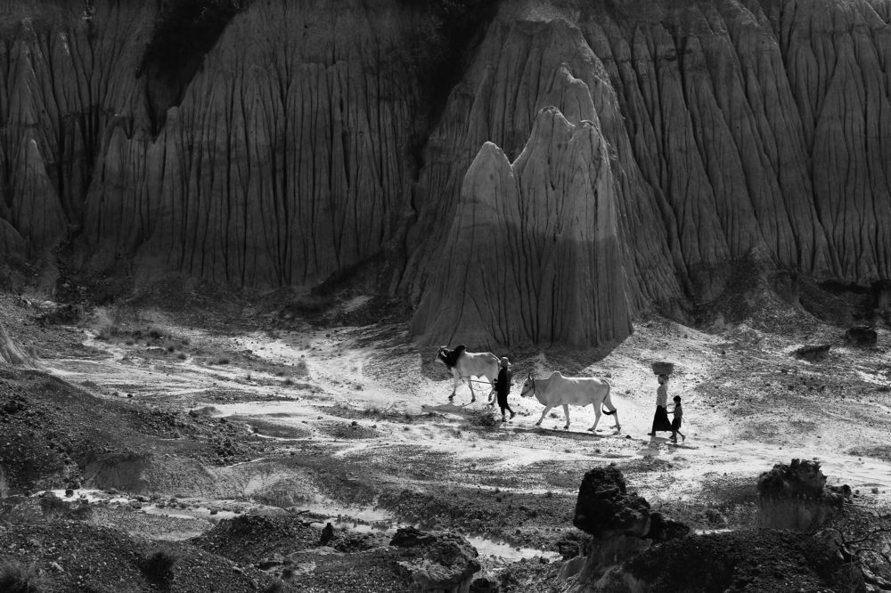 family going to work