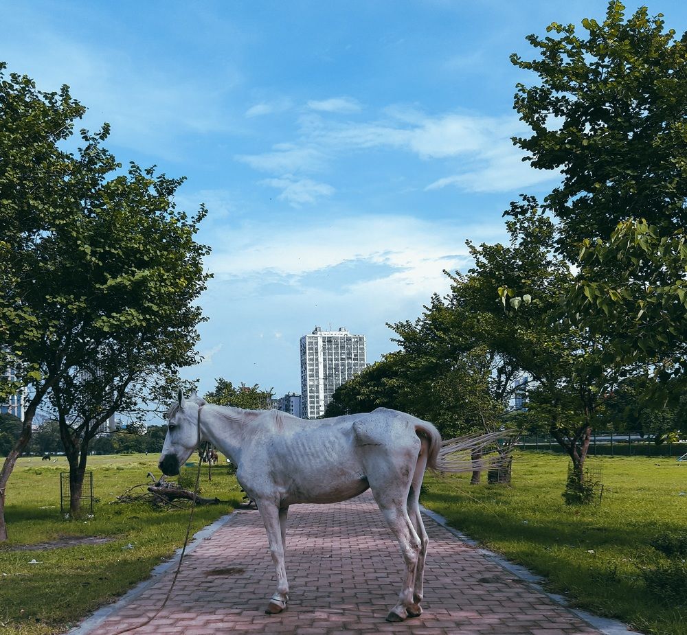 Photograph by Biprorshi Chatterjee