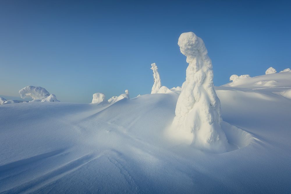 Photograph by Александр Дударев