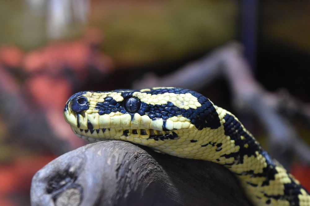 Photograph by Геннадий Глухов