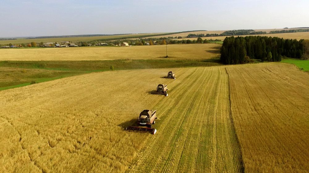 Photograph by Геннадий Глухов