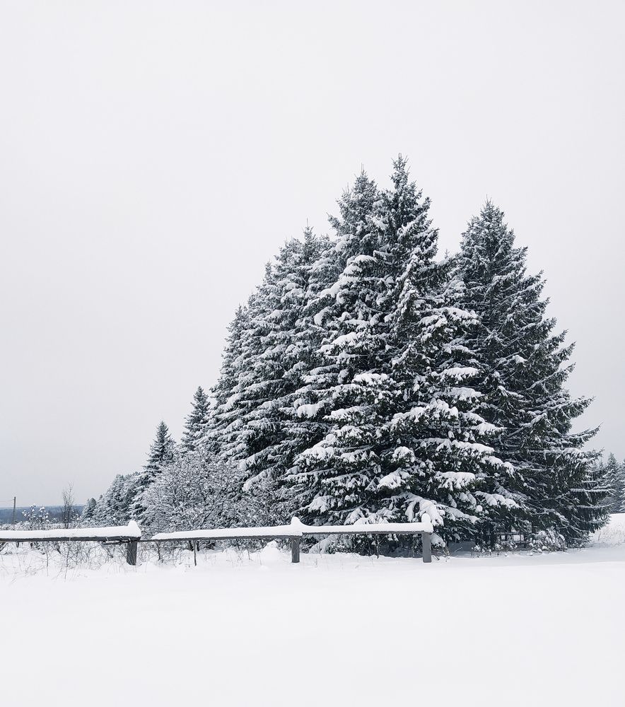 Photograph by София Корепанова