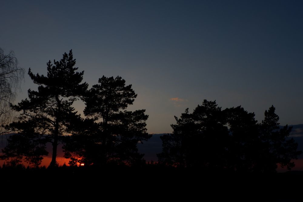 Photograph by Олег Иевлев