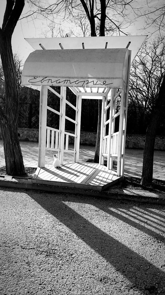 Photograph by Юлия Титова