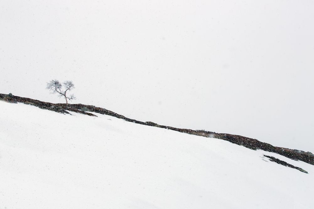 Gornaja linija žizni.