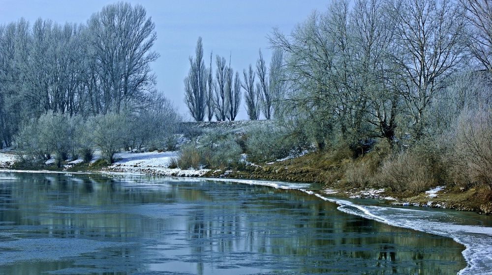 Зима на Днестре