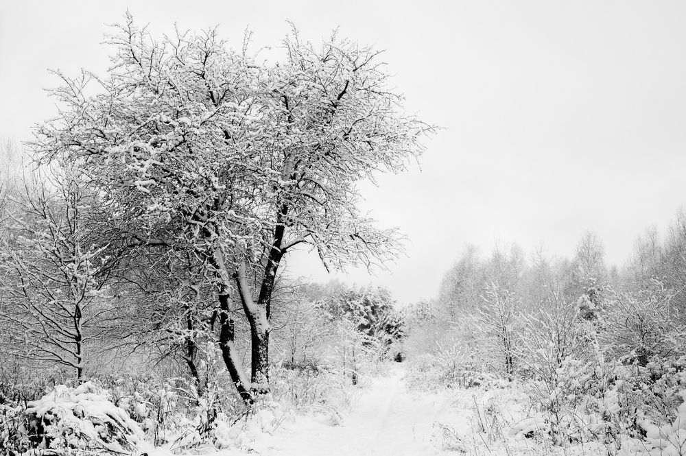 Photograph by Agnieszka Szadowiak