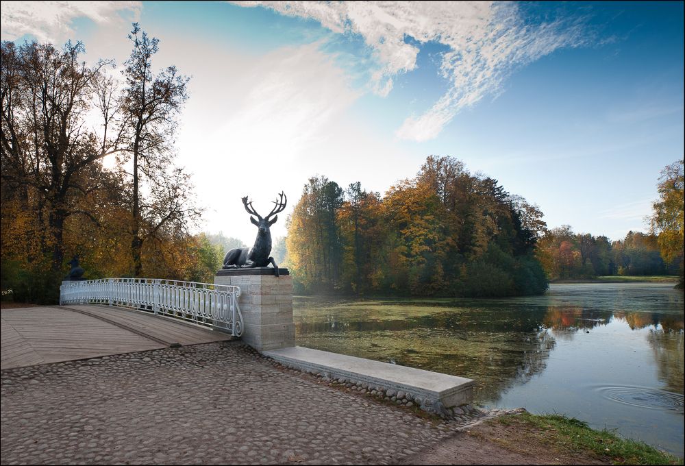 Павловск. Олени на мосту