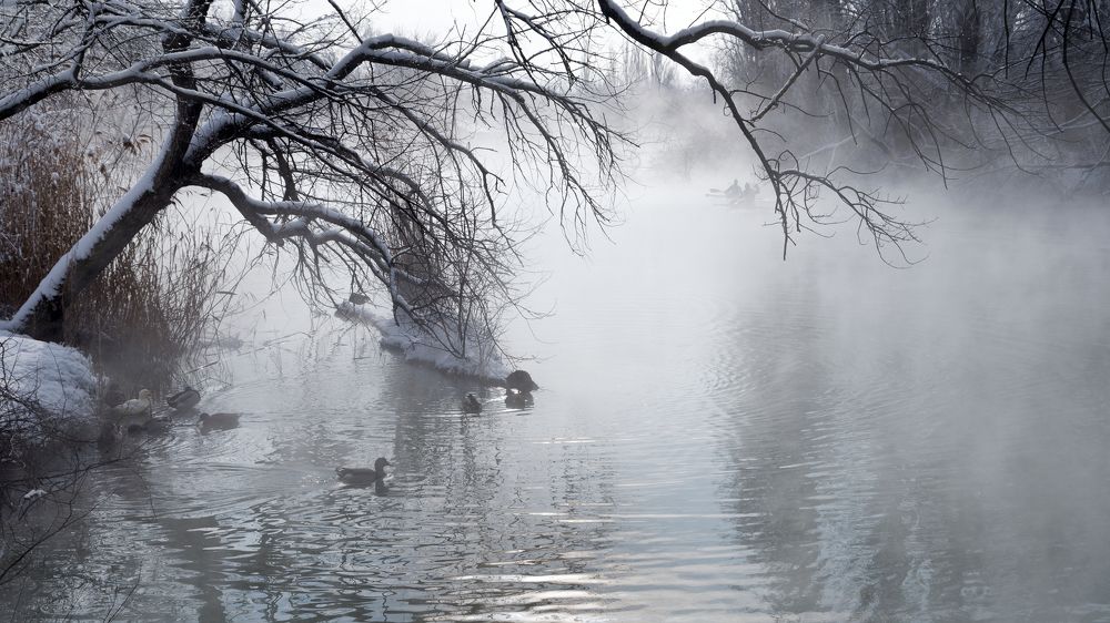 Зимнее утро