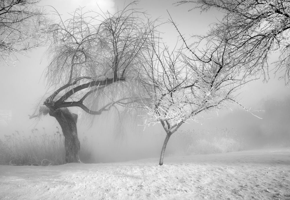 Туманное утро