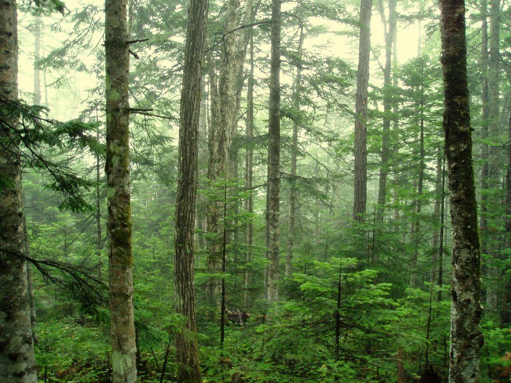 Photograph by Ольга Яковцева