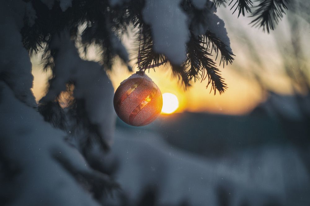 Photograph by ЕВГЕНИЙ СКАЛОЗУБОВ