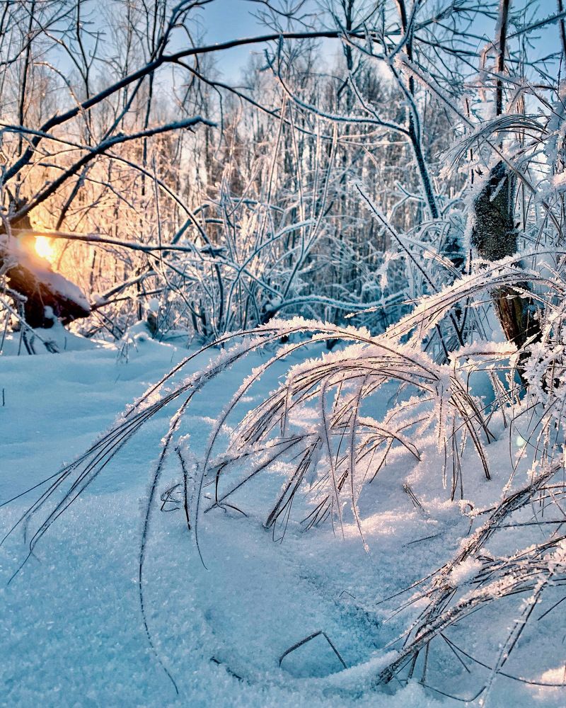 Photograph by Юлия Гусарова