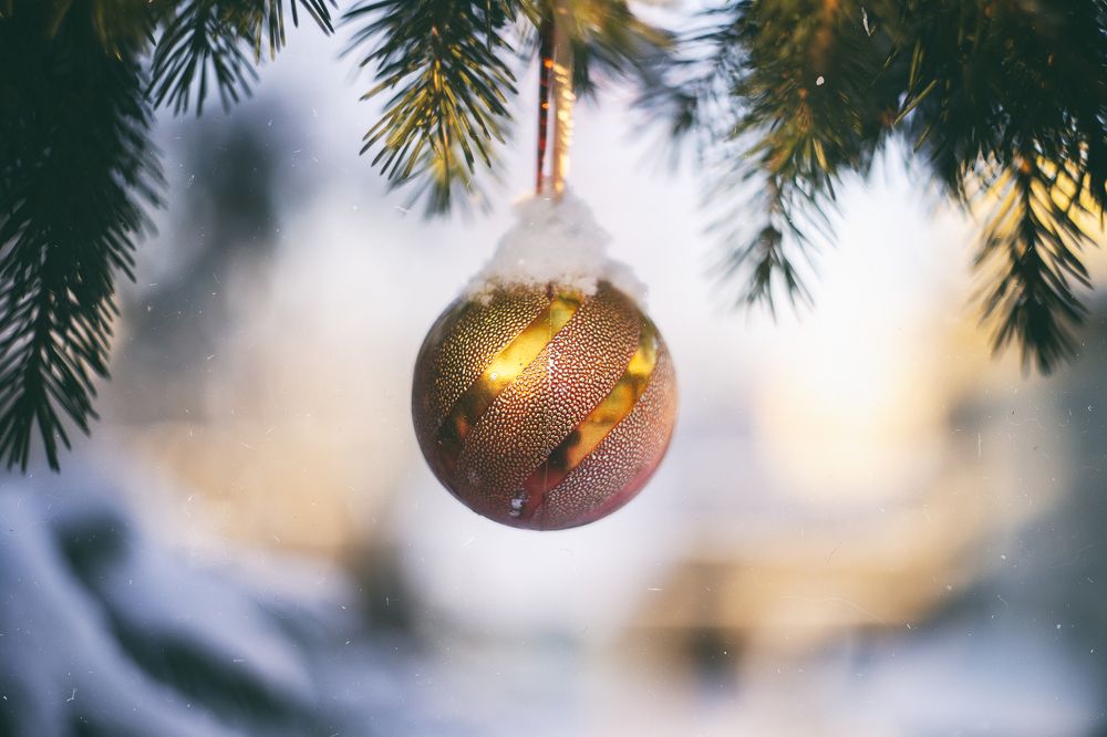 Photograph by ЕВГЕНИЙ СКАЛОЗУБОВ