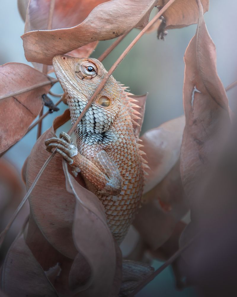 Photograph by Ayan Kundu