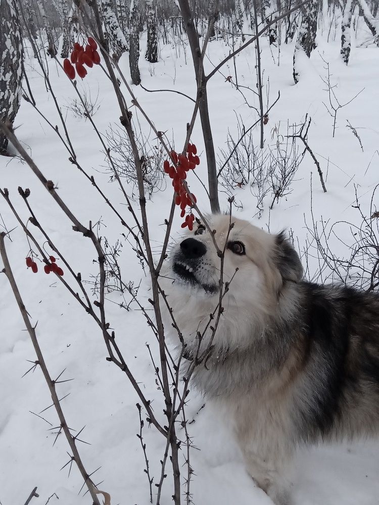 Photo #5588403