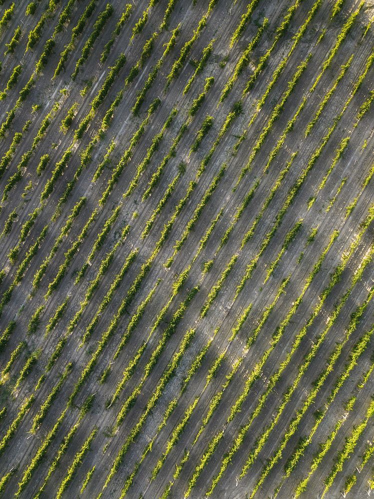 Photograph by Антон Шваин