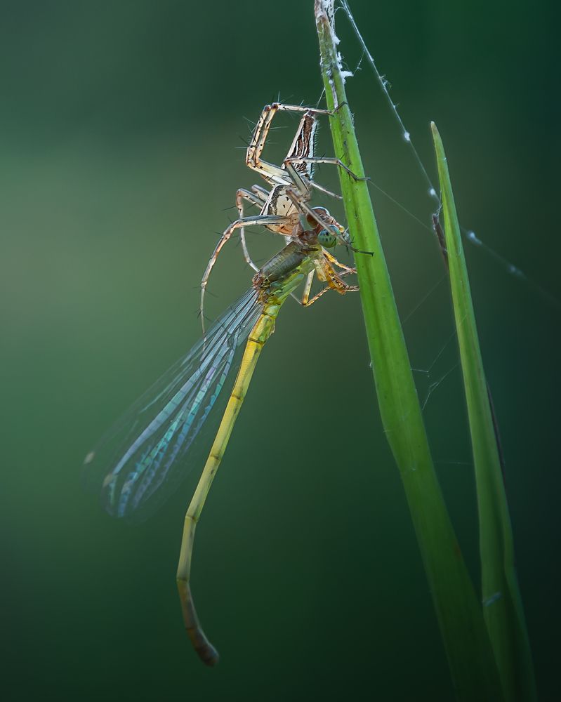 Photograph by Ayan Kundu