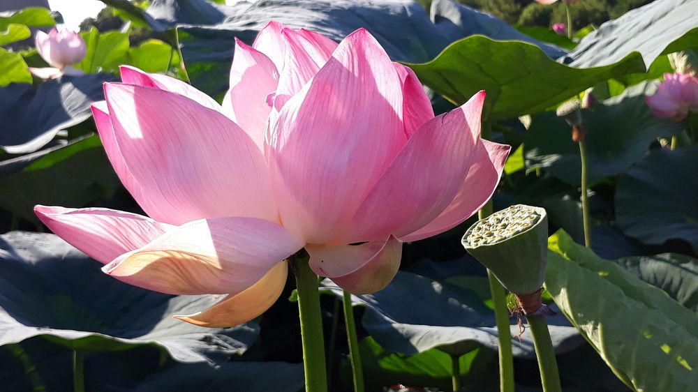 Photograph by Андрей Шахно